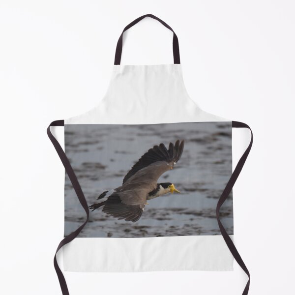 Item preview, Masked lapwing (Plover) in flight designed and sold by BirdsAlive.