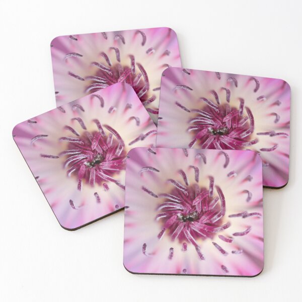 Item preview, Amaryllis designed and sold by Nigel R Bell Photography.