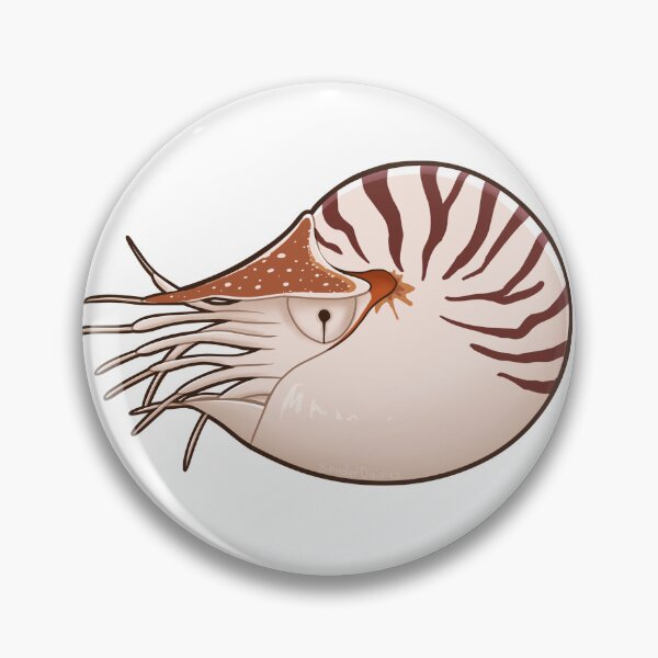 Item preview, Chambered Nautilus designed and sold by Sonderdaisies.