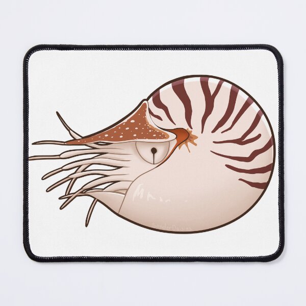 Item preview, Chambered Nautilus designed and sold by Sonderdaisies.