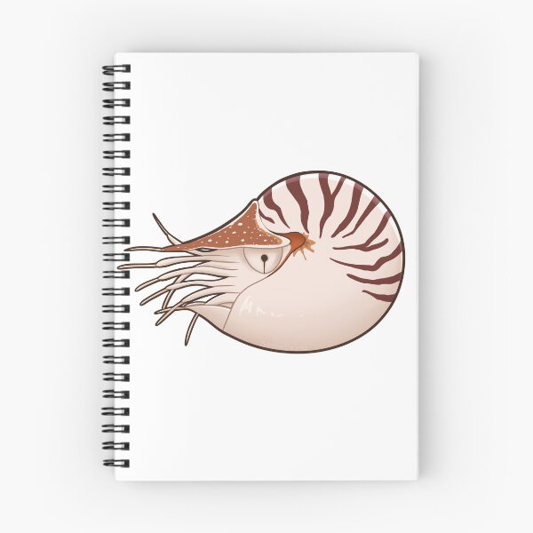 Item preview, Chambered Nautilus designed and sold by Sonderdaisies.