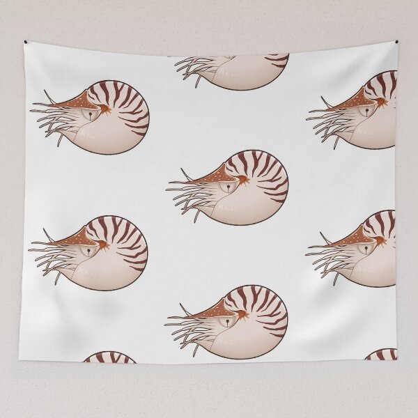 Item preview, Chambered Nautilus designed and sold by Sonderdaisies.