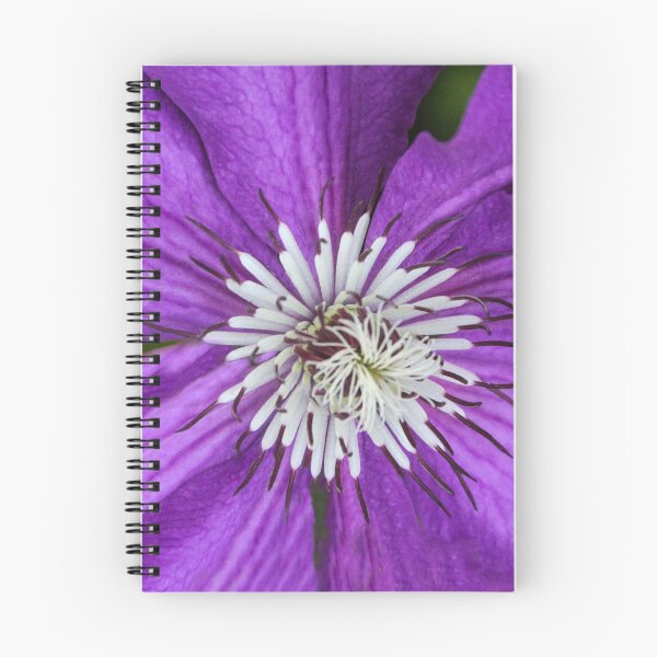 Item preview, Center of the Flower  designed and sold by heatherfriedman.