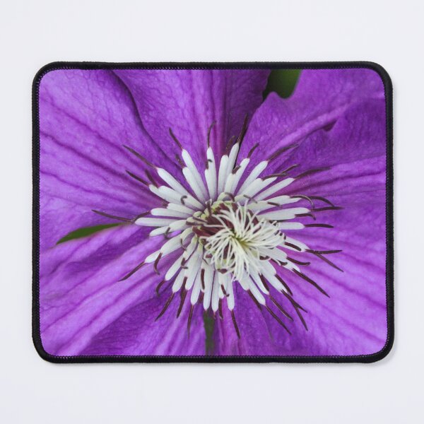 Item preview, Center of the Flower designed and sold by heatherfriedman.