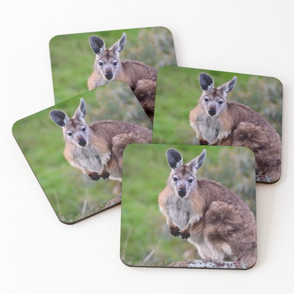 Item preview, Wallaby on a Rock designed and sold by Likoca Photography.