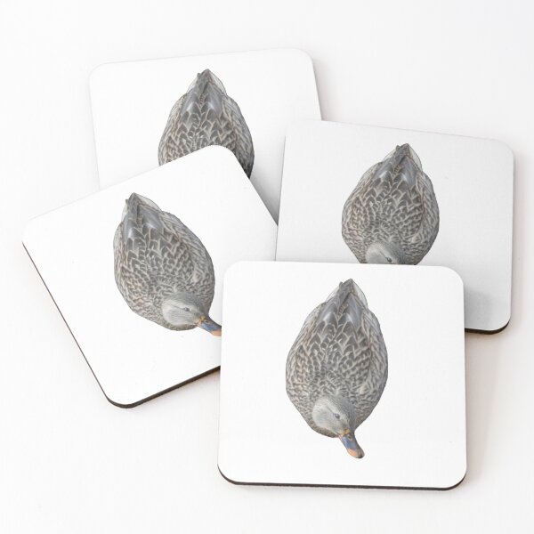 Item preview, Inquisitive Duck designed and sold by naturetimes.