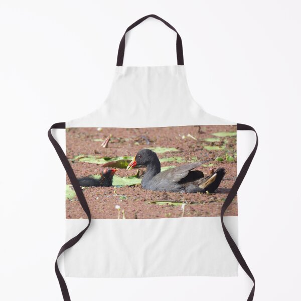 Item preview, Dusky Moorhen and chick on a pond designed and sold by BirdsAlive.