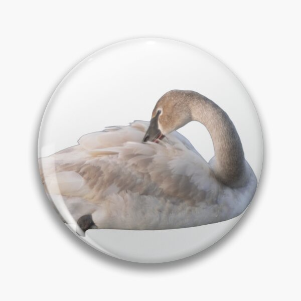 Item preview, Juvenile Swan Grooming designed and sold by naturetimes.
