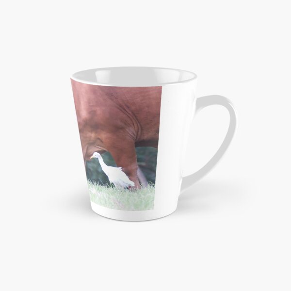 Item preview, Cattle Egret looking for insects to eat designed and sold by BirdsAlive.