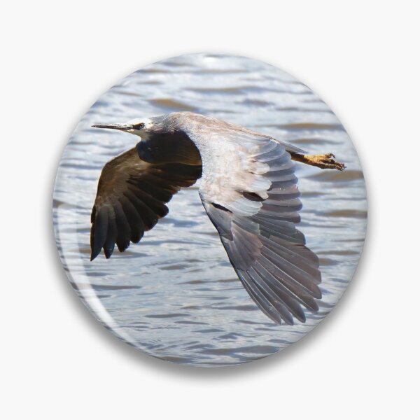 Item preview, White-faced Heron in flight designed and sold by BirdsAlive.