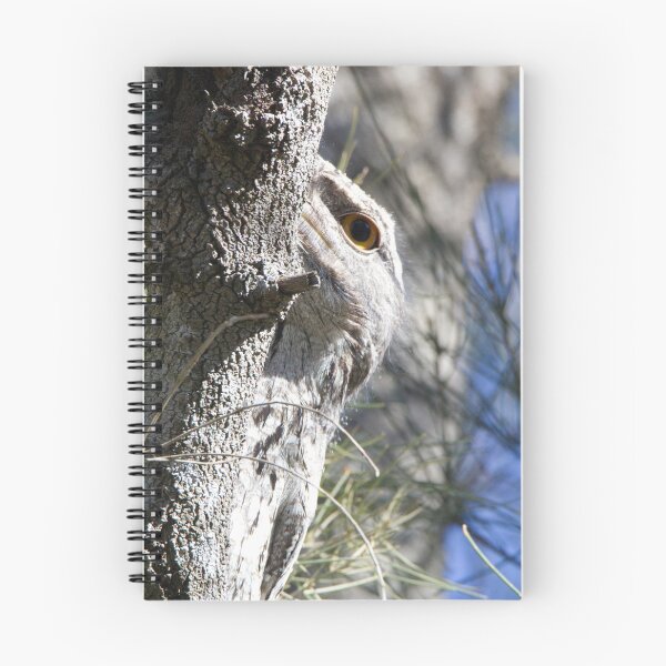 Item preview, Tawny Frogmouth (Podargus strigoides) keeping an eye on me designed and sold by BirdsAlive.