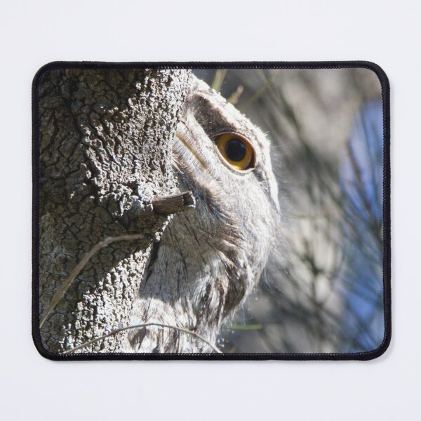 Item preview, Tawny Frogmouth (Podargus strigoides) keeping an eye on me designed and sold by BirdsAlive.