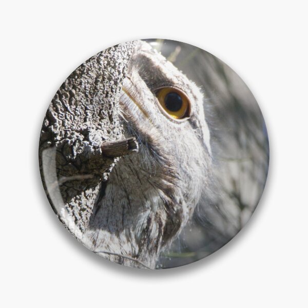 Item preview, Tawny Frogmouth (Podargus strigoides) keeping an eye on me designed and sold by BirdsAlive.
