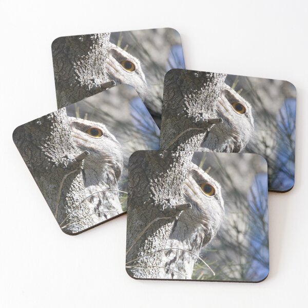 Item preview, Tawny Frogmouth (Podargus strigoides) keeping an eye on me designed and sold by BirdsAlive.
