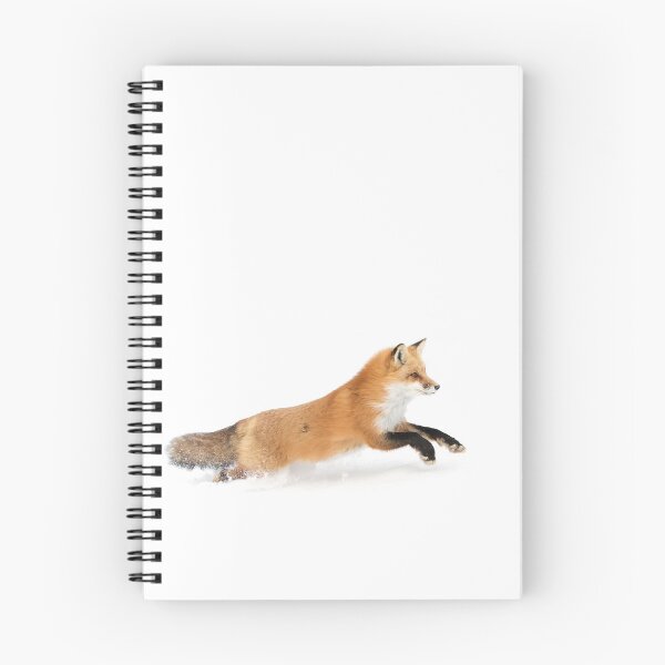 Item preview, Running Fox - Algonquin Park designed and sold by James Cumming.