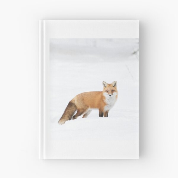 Item preview, Red Fox - Algonquin Park designed and sold by James Cumming.