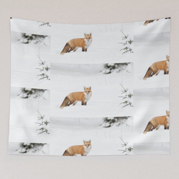 Artikelvorschau, Roter Fuchs - Algonquin Park entworfen und verkauft von James Cumming.