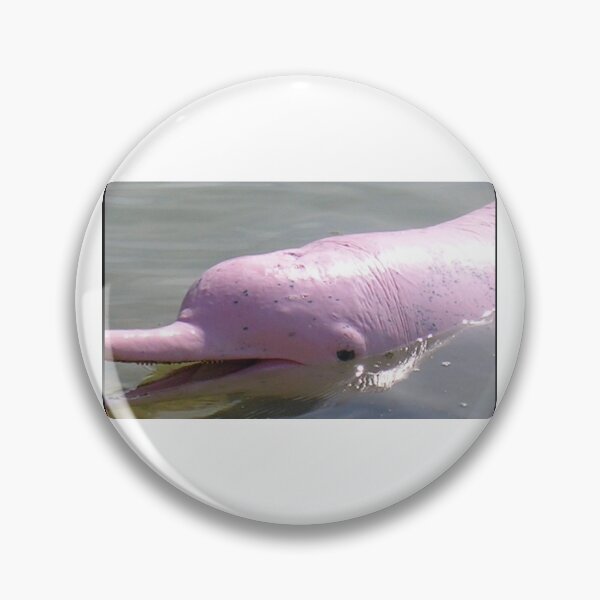 Artikelvorschau, pink dolphin entworfen und verkauft von sharon Wingard.