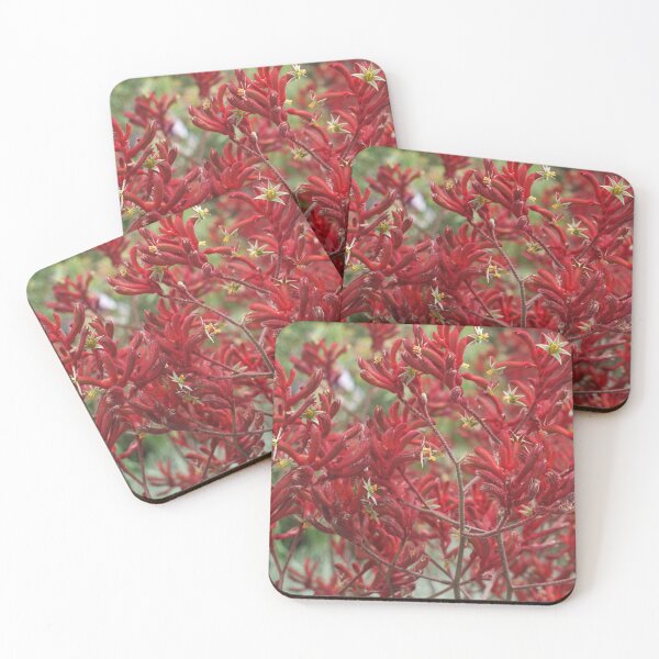 Item preview, kangaroo paw designed and sold by sharon Wingard.