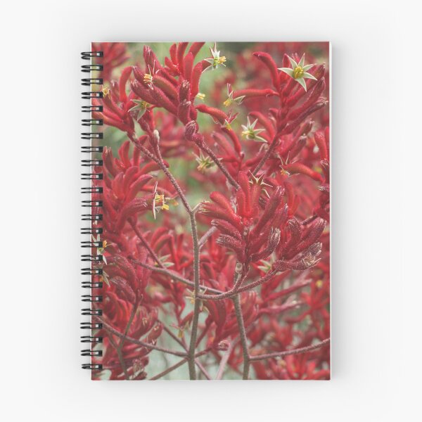 Item preview, kangaroo paw designed and sold by sharon Wingard.