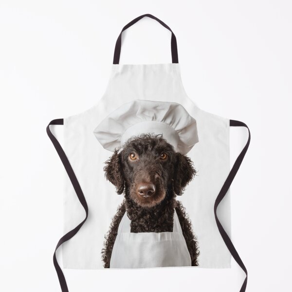 Item preview, Curly-Coated Retriever Chef Dog Funny Cooking Apron Hat designed and sold by LazyOwlStore.