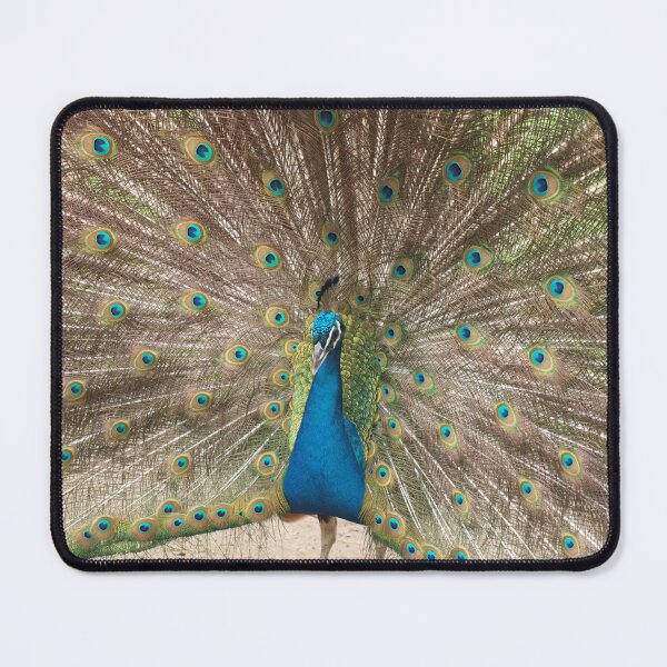 Item preview, PEACOCK designed and sold by sharon Wingard.