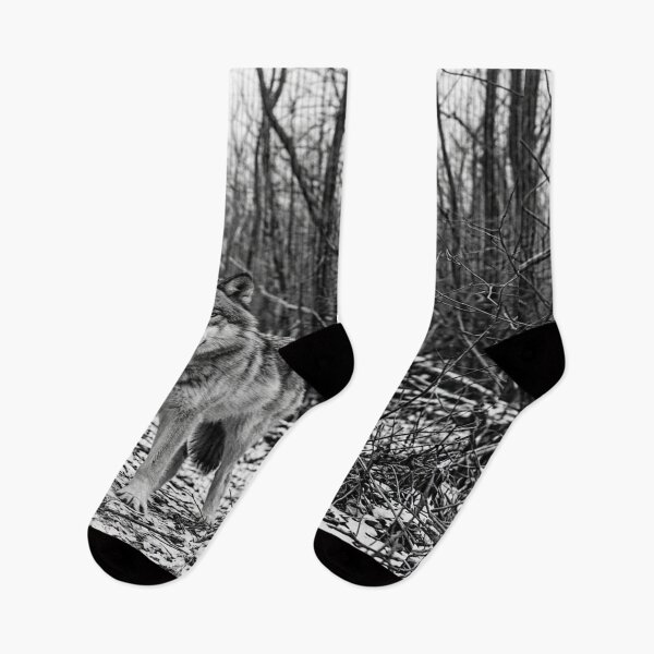 Item preview, Monochrome wolf in sparse dry winter forest designed and sold by Solomon-Ent-144.