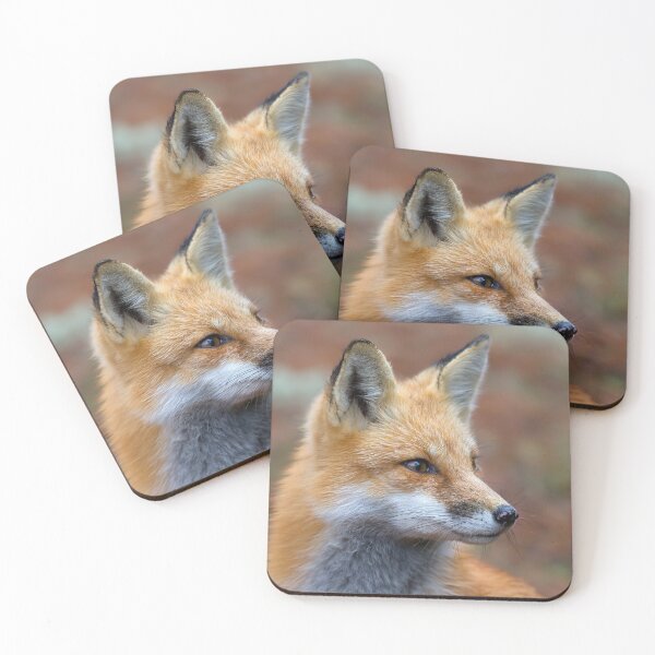 Artikelvorschau, Red Fox Profil - Algonquin Park, Kanada entworfen und verkauft von James Cumming.