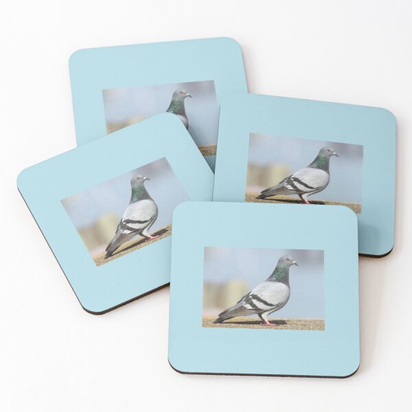 Item preview, Stoic Pigeon Ponders designed and sold by BackyardBuds.