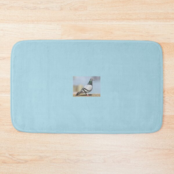 Item preview, Stoic Pigeon Ponders designed and sold by BackyardBuds.