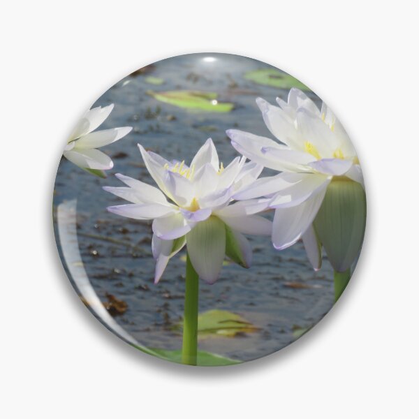 Item preview, Flowers Of Kakadu designed and sold by sharon Wingard.