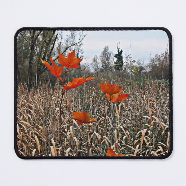 Item preview, Autumn designed and sold by Enriscatto.