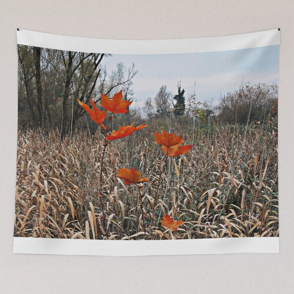 Item preview, Autumn designed and sold by Enriscatto.