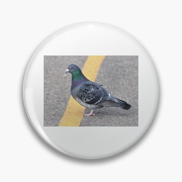 Item preview, Pigeon Crossing designed and sold by BackyardBuds.