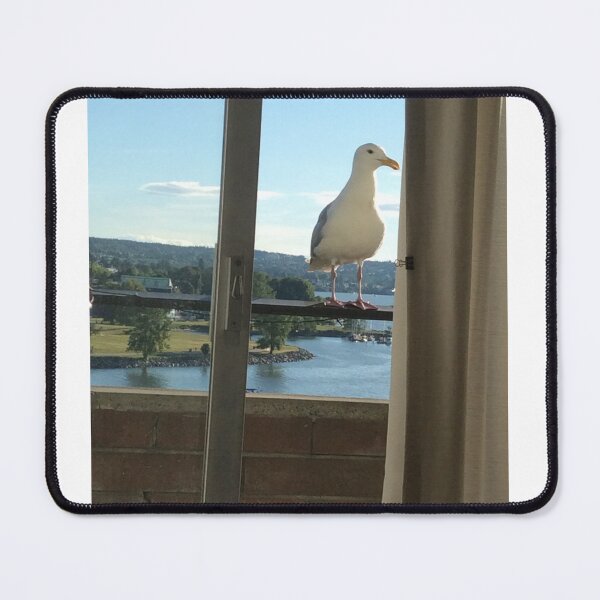 Item preview, Hello Visiting Seagull designed and sold by BackyardBuds.
