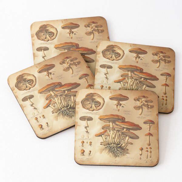 Item preview, Mycelium Botanical Chart designed and sold by ONYX Pixee.