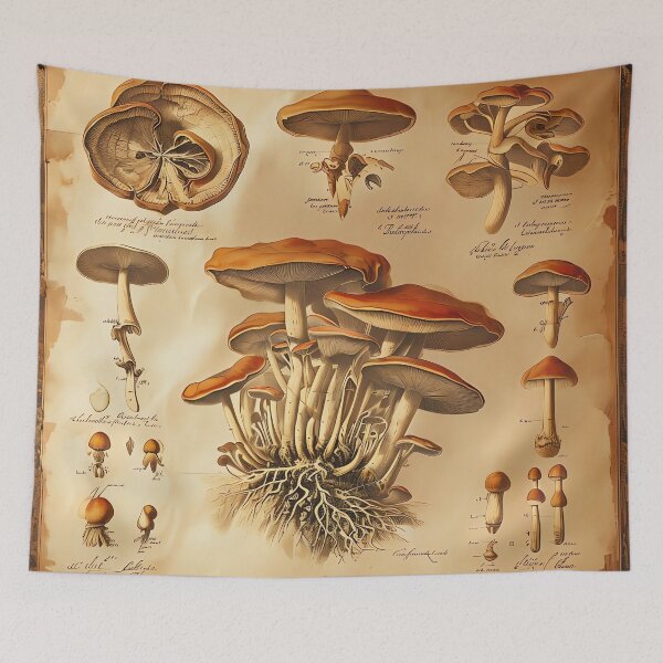 Item preview, Mycelium Botanical Chart designed and sold by ONYX Pixee.