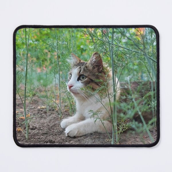 Item preview, Cat Hiding in the Garden designed and sold by MB-CatPrints.
