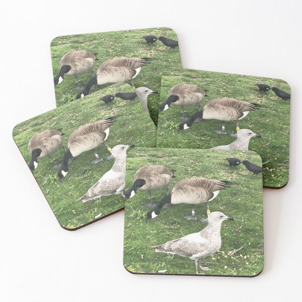 Item preview, Birds In Mixed Company designed and sold by BackyardBuds.