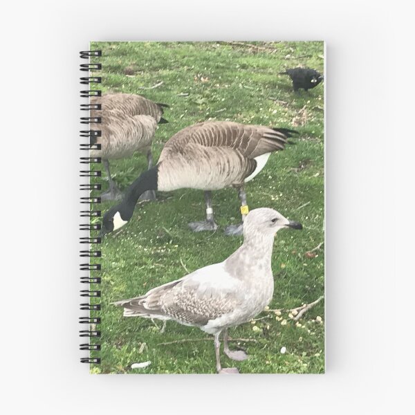 Item preview, Birds In Mixed Company designed and sold by BackyardBuds.
