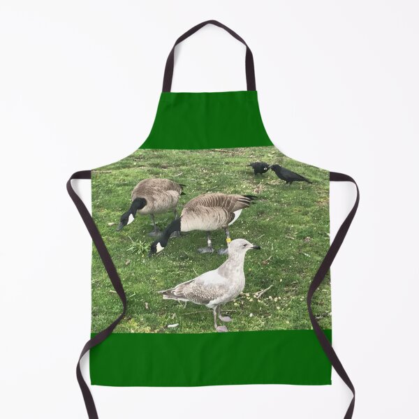 Item preview, Birds In Mixed Company designed and sold by BackyardBuds.