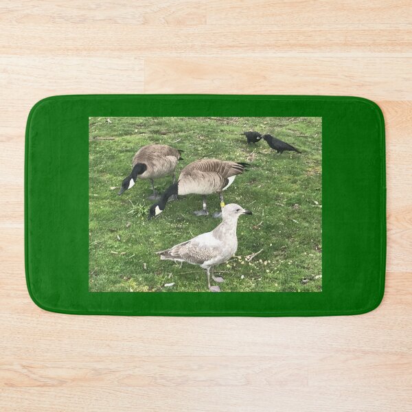 Item preview, Birds In Mixed Company designed and sold by BackyardBuds.