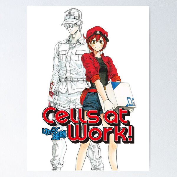 AA2153, Cells at Work! Wiki