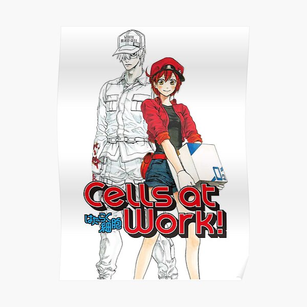 CELLS AT WORK - Lavori in corpo CELLS AT WORK - Lavori in corpo