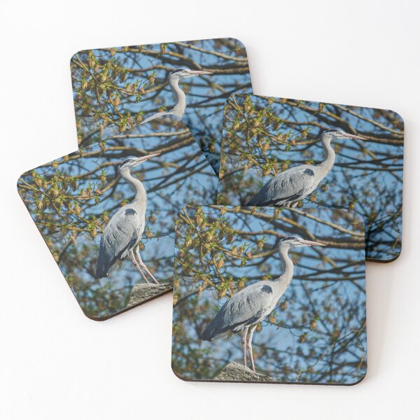 Item preview, Opportunistic Grey Heron designed and sold by Eidetic Photos.