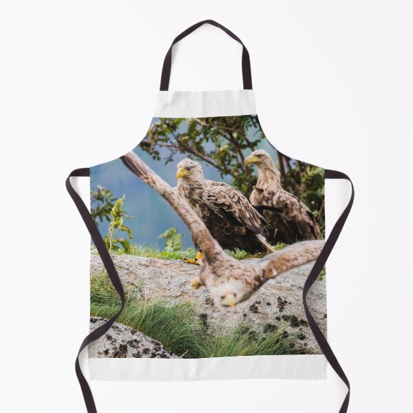 Item preview, Eagles in Norway designed and sold by XaviFotografia.