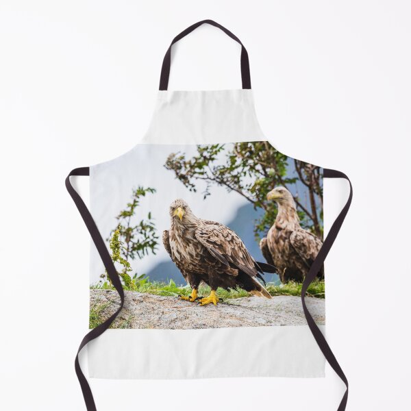Item preview, Eagles in Norway designed and sold by XaviFotografia.