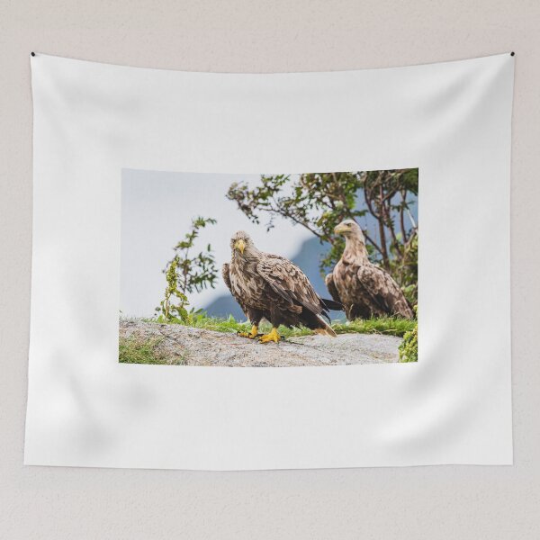 Item preview, Eagles in Norway designed and sold by XaviFotografia.