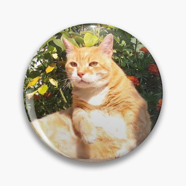 Item preview, Orange Tabby Cat Relaxing in a Sunny Garden designed and sold by MB-CatPrints.
