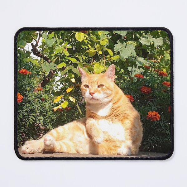Item preview, Orange Tabby Cat Relaxing in a Sunny Garden designed and sold by MB-CatPrints.
